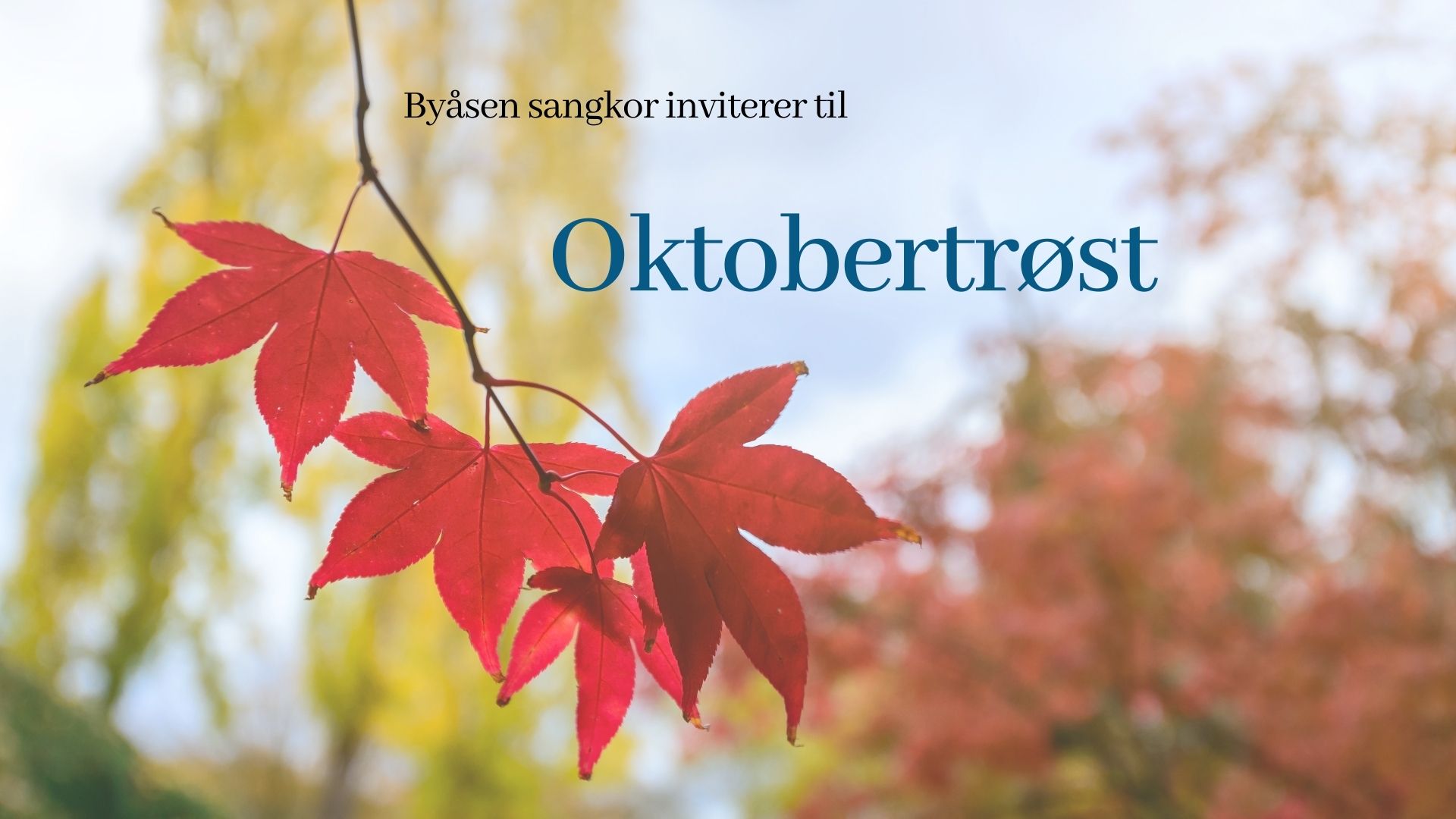 Høst 2020: Oktobertrøst